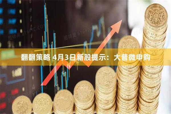 翻翻策略 4月3日新股提示：大普微申购
