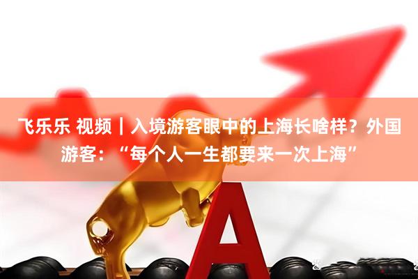 飞乐乐 视频｜入境游客眼中的上海长啥样？外国游客：“每个人一生都要来一次上海”