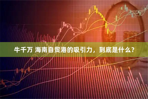 牛千万 海南自贸港的吸引力，到底是什么？