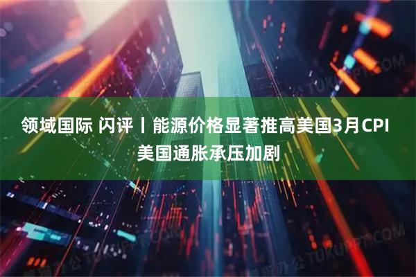 领域国际 闪评丨能源价格显著推高美国3月CPI 美国通胀承压加剧